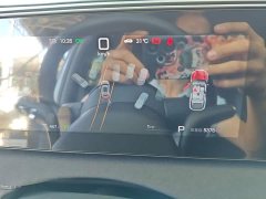 BYD Sealion 06 DM-i 205 Pilot Plus - ფოტო 11