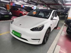 Tesla Model Y Performance All-Wheel Drive - ფოტო 1