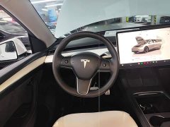Tesla Model Y Performance All-Wheel Drive - ფოტო 10