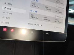 Tesla Model Y Performance All-Wheel Drive - ფოტო 11