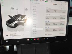 Tesla Model Y Performance All-Wheel Drive - ფოტო 12