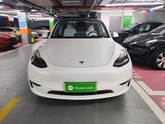 Tesla Model Y Performance All-Wheel Drive - ფოტო 2