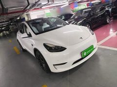 Tesla Model Y Performance All-Wheel Drive - ფოტო 3