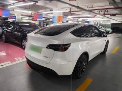 Tesla Model Y Performance All-Wheel Drive - ფოტო 6