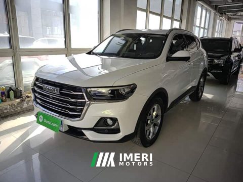 2021 Haval H6 National Trend 1.5T Automatic Champion Edition - ავტომობილი ჩინეთიდან
