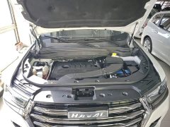 Haval H6 National Trend 1.5T Automatic Champion Edition - ფოტო 19