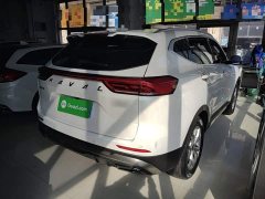 Haval H6 National Trend 1.5T Automatic Champion Edition - ფოტო 6