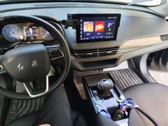 FAW Red Flag E-QM5 Facelift Base Mobility Edition - photo 9