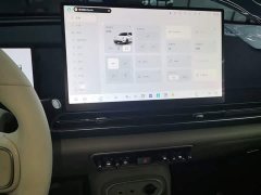 ORA Good Cat GT Mulan Edition 430km Luxury Edition - ფოტო 12