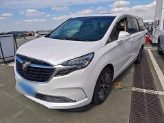 Buick GL8 ES Land Respect 653T Luxury - ფოტო 1