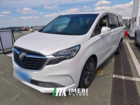 2021 Buick GL8 ES Land Respect 653T Luxury - ავტომობილი ჩინეთიდან