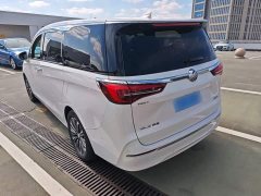 Buick GL8 ES Land Respect 653T Luxury - ფოტო 4