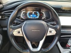 Changan Oushan X7 1.5T Automatic Deluxe - ფოტო 10