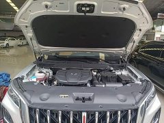 FAW Red Flag HS5 2.0T AWD Flagship Pro - ფოტო 19