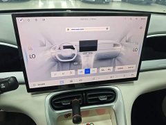 Geely Star Wish 310km Dream Edition - ფოტო 8