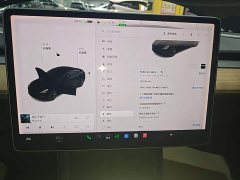 Tesla Model 3 Standard Range RWD Upgrade - ფოტო 12