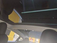 Tesla Model 3 Standard Range RWD Upgrade - ფოტო 17