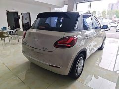 Wuling Binguo 333km Lingxi Connected Plus - ფოტო 6