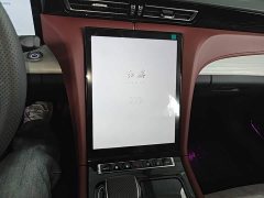 FAW Red Flag H5 PHEV 170 Super Hybrid Edition - ფოტო 12