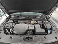 FAW Red Flag H5 PHEV 170 Super Hybrid Edition - ფოტო 19