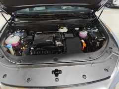 BYD Song Pro New Energy DM-i 110KM Excellence Edition - photo 19