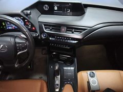 Lexus UX New Energy 300e Pure Joy Edition - ფოტო 12