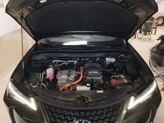 Lexus UX New Energy 300e Pure Joy Edition - ფოტო 19