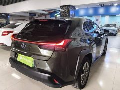 Lexus UX New Energy 300e Pure Joy Edition - ფოტო 6