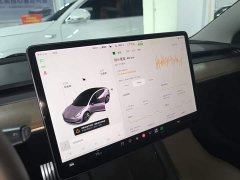 Tesla Model 3 Performance All-Wheel Drive - ფოტო 12