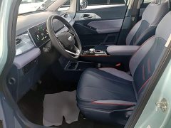 Geely Geometry E Firefly 401KM Linglong Tiger 5-Seater - ფოტო 14