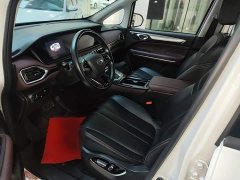 GAC Aion M6 PRO 270T DCT Luxury - ფოტო 14