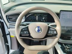 Denza D9 DM-i 970 AWD Flagship - ფოტო 10