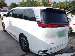 Denza D9 DM-i 970 AWD Flagship - ფოტო 4