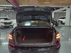 Volkswagen Passat 380TSI Starry Sky Dragon Ascendant Edition - фото 18