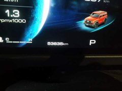 Tank 300 2.0T Challenger - ფოტო 4
