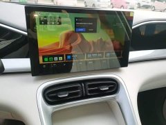 Geely Star Wish 310km Youth Edition - ფოტო 12