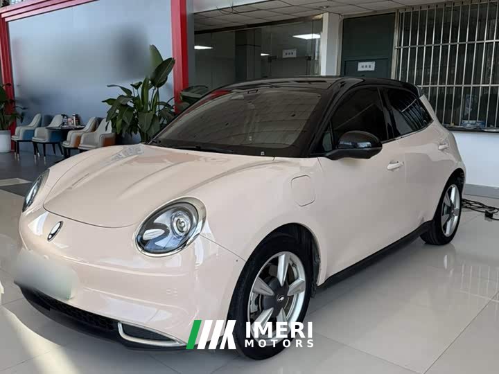 ORA Good Cat 401km Standard Range Deluxe LFP - ავტომობილი ჩინეთიდან