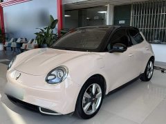 ORA Good Cat 401km Standard Range Deluxe LFP - ფოტო 1