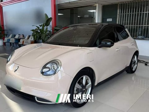 2023 ORA Good Cat 401km Standard Range Deluxe LFP - ავტომობილი ჩინეთიდან