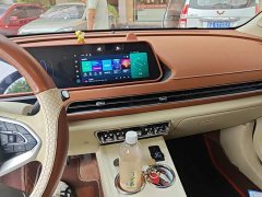 ORA Good Cat 401km Standard Range Deluxe LFP - ფოტო 5