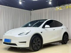 Tesla Model Y Rear-Wheel Drive - ფოტო 1