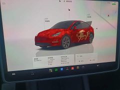 Tesla Model Y Rear-Wheel Drive - ფოტო 11