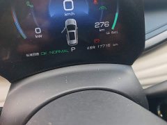 BYD Yuan Plus Champion Edition 510KM Transcendent - ფოტო 16