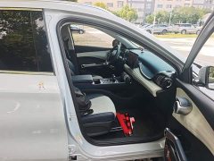 BYD Yuan Plus Champion Edition 510KM Transcendent - ფოტო 8