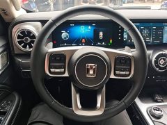 Tank 300 City Edition 2.0T Stylish - ფოტო 10