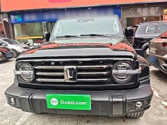 Tank 300 City Edition 2.0T Stylish - ფოტო 2