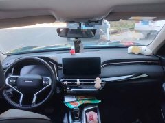 Haval Chitu Jingxiang Edition 1.5T Purple Copper Rabbit - ფოტო 12
