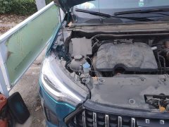 Haval Chitu Jingxiang Edition 1.5T Purple Copper Rabbit - ფოტო 18
