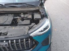 Haval Chitu Jingxiang Edition 1.5T Purple Copper Rabbit - ფოტო 19