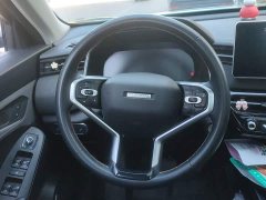 Haval Chitu Jingxiang Edition 1.5T Purple Copper Rabbit - ფოტო 2